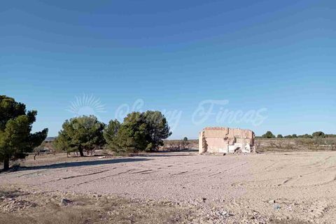 Finca i Caudete, Albacete, Caudete - € 29.995 | Ref: SF0480 - foto 8